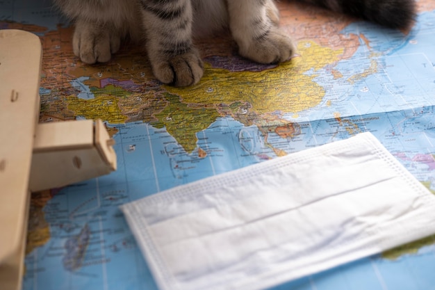 Pattes De Chat Et Carte Du Monde Photo Gratuite