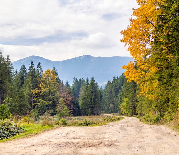 Le Paysage D Automne De Montagne Avec Foret Coloree Paysage D Automne Colore Dans Les Montagnes Des Carpates Foret De Feuillus Dans Les Collines Vue Rurale Du Sentier Photo Premium