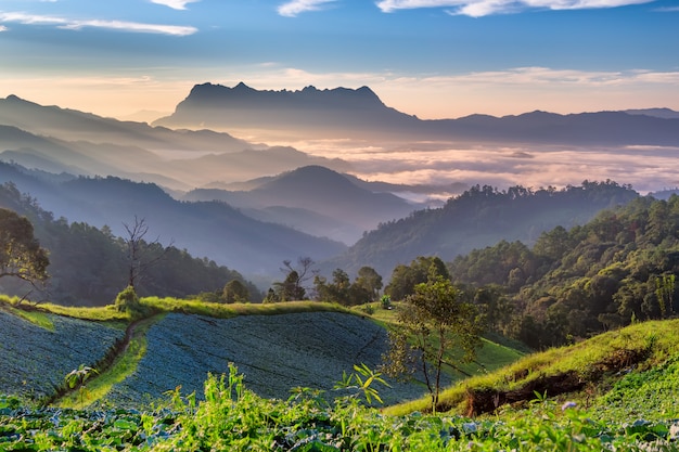 Paysage De Lever De Soleil Sur La Montagne   Doi Luang 