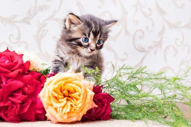 Petit Chaton Raye Avec Un Bouquet De Fleurs Felicitations Pour Votre Anniversaire Ou D Autres Vacances Photo Premium