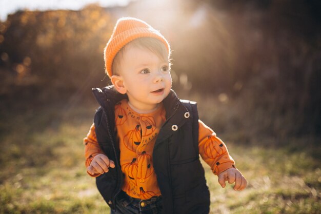 Petit Garcon Mignon Dans Un Parc En Automne Photo Gratuite