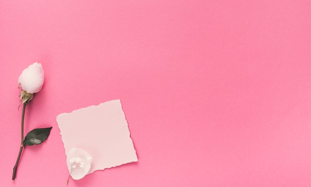 Petit Papier Blanc Avec Une Fleur Blanche Sur Une Table Rose