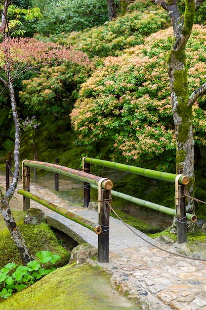 Petit Pont  De Bambou   L automne Au Japon Photo Gratuite