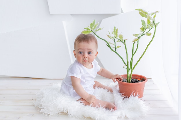 Petite Fille De 6 Mois Assise En Vetements Blancs Dans Un Appartement Lumineux A La Fenetre Avec Une Fleur De Chambre Bebe Soins Des Plantes Photo Premium