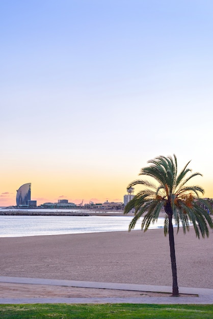 Plage De Barcelone Au Coucher Du Soleil Platja Nova Icaria