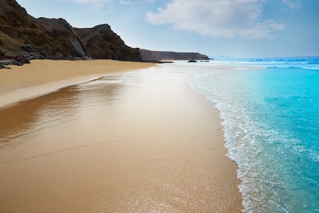 La Plage De Corralejo Lîle De Fuerteventura îles Canaries