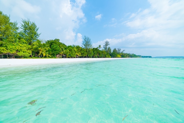 Plage De Sable Blanc Avec De Leau Turquoise Transparente De