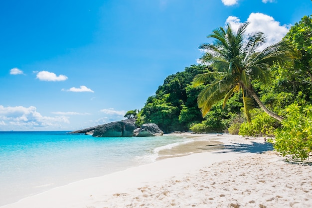  Plage  Tropicale De  Sable  Blanc  Photo Gratuite