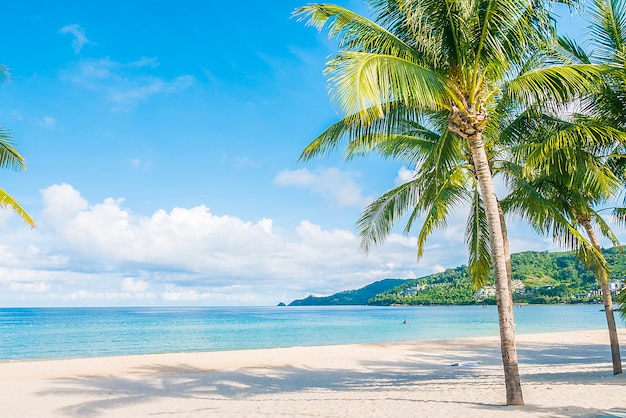 Plage Vecteurs Et Photos Gratuites