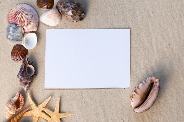 Plage De Vacances Avec Coquillages Etoiles De Mer Et Une Carte Postale Vierge Photo Premium