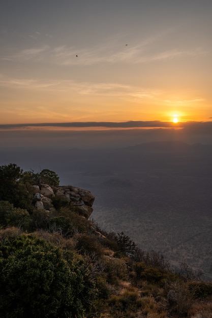 Plan Vertical D Une Montagne Couverte D Arbres Et Le Coucher Du Soleil Capture Au Kenya Nairobi Samburu Photo Gratuite