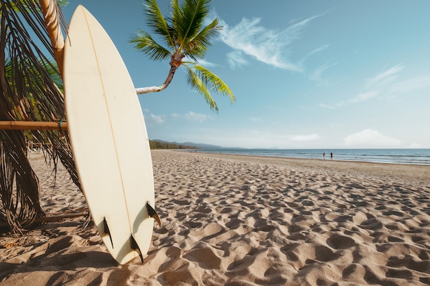 Planche De Surf Et Palmier Sur La Plage Photo Premium