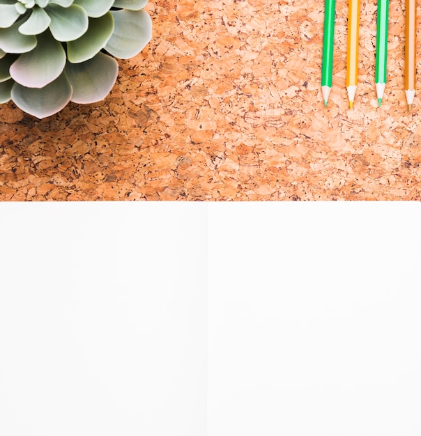 Plante verte et crayons Photo gratuit
