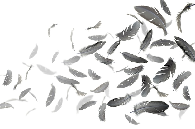 Des plumes noires flottent dans l'air Photo Premium