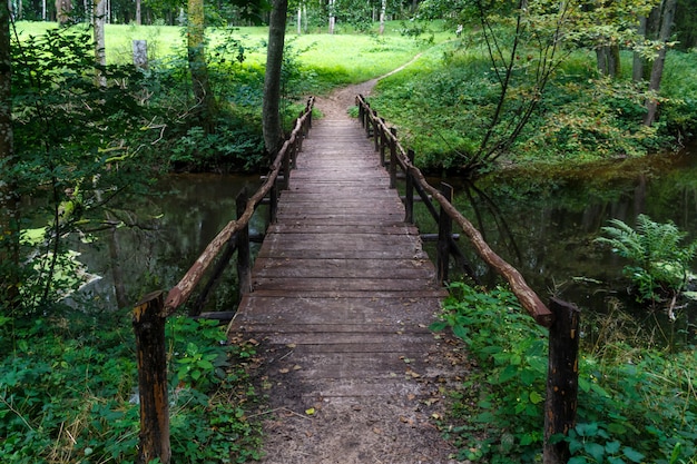 Pont En Bois Sur La Rivière Dans Le | Photo Premium