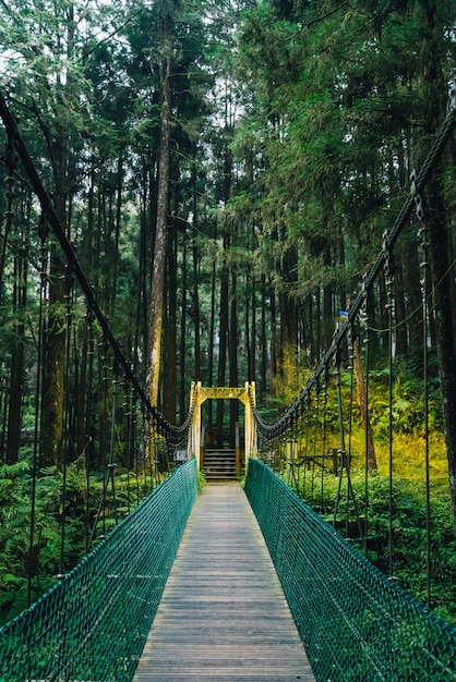 Pont De Corde Vers La Forêt Dans La Zone De Loisirs De La Forêt Nationale D’alishan Dans Le Comté De Chiayi, Canton D’alishan, Taiwan. Photo Premium