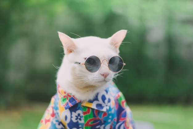 Portrait De Chat Blanc Hipster Lunettes De Soleil Et Chemise Concept De Mode Animal Photo Premium
