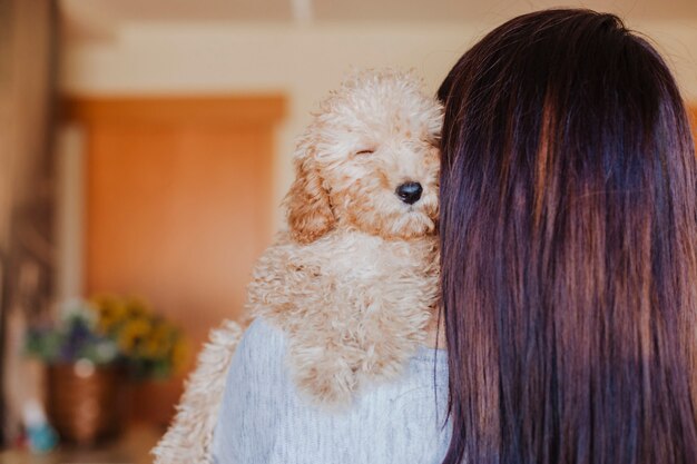 Portrait D Un Mignon Caniche Brun Avec Sa Jeune Femme Proprietaire A La Maison De Jour A L Interieur Photo Premium