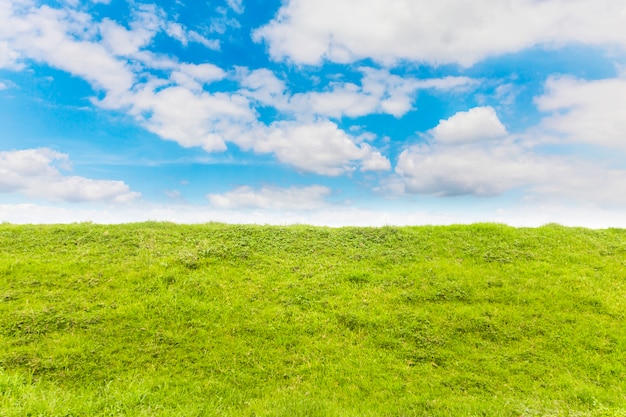 Prairie Verte Avec Le Ciel Bleu Photo Gratuite