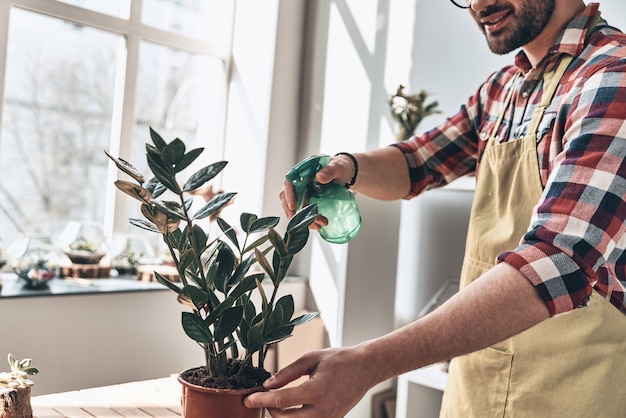 Prendre Bien Soin De Ses Plantes. Close Up Of Young Man In Tablier