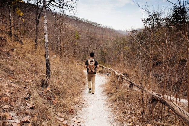 Randonneur Sur Le Sentier En Milieu Sauvage Photo Gratuite