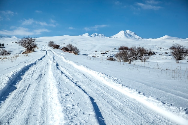 Route Enneigee En Hiver Photo Premium