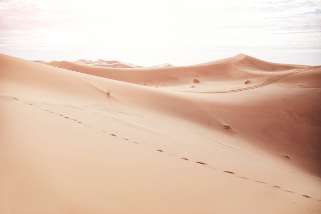 sables sans fin du desert du sahara le chaud soleil brulant brille sur les dunes de sable maroc merzouga photo premium