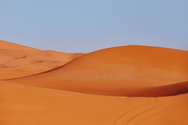 sables sans fin du desert du sahara le chaud soleil brulant brille sur les dunes de sable maroc merzouga photo premium