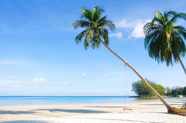 scene-reve-beau-palmier-plage-sable-blanc-vue-nature-ete_33764-240.jpg