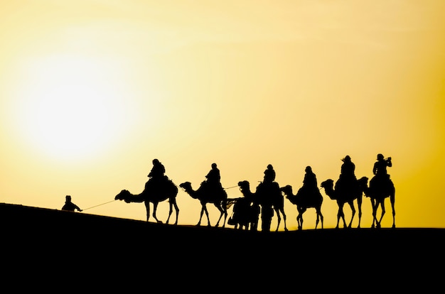 Silhouette D Une Caravane De Chameaux Dans Le Desert Du Sahara Au Lever Du Soleil Photo Premium