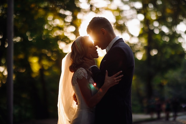 Soirée soleil d'été fait une auréole autour du beau couple de mariage Photo gratuit