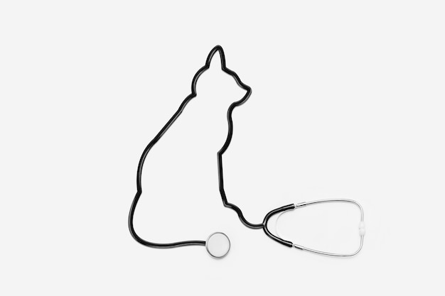 Stethoscope Avec Tube A Contour De Chat Photo Premium