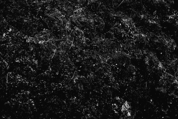 Stuc concret de wall.cement de texture de fond noir et blanc. Photo Premium