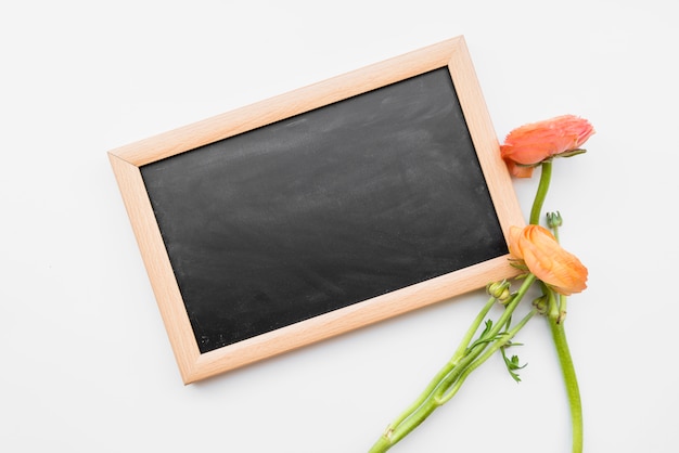 Tableau noir et fleurs rouges sur fond blanc Photo gratuit