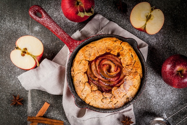 Tarte Maison Aux Galettes De Pommes Entières Avec Pommes Biologiques Et Cannelle Photo Premium