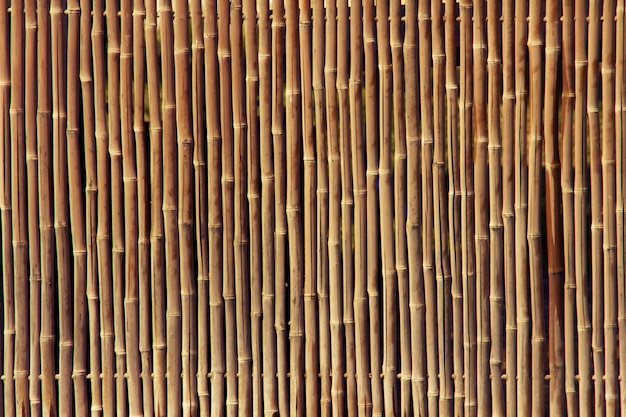  Texture  De Cl ture De Bambou  Photo Gratuite