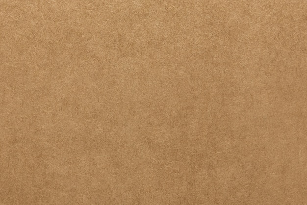 Texture De Papier  Kraft  Brun Clair Pour Le Fond  Photo 