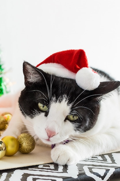 Tir Vertical De Chat Blanc Et Noir Avec Chapeau De Pere Noel De Noel Avec Des Ornements Sur Une Table Photo Gratuite