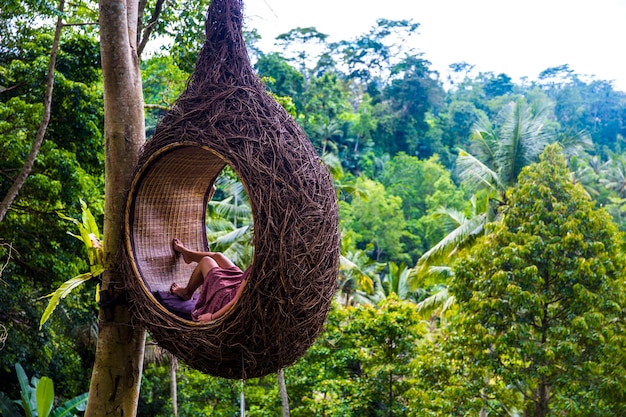 Une Touriste Est Assise Sur Un Nid  De Gros Oiseau Sur Un 