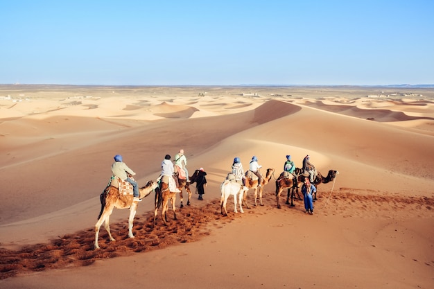 Touristes En Caravane De Chameaux Dans Le Desert Du Sahara Erg Shebbi Merzouga Maroc Photo Premium
