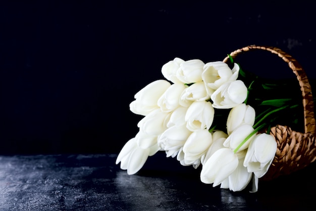 Tulipes blanches Photo Premium