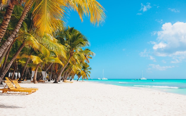 Vacances D Ete Vacances Fond D Ecran Plage Paradisiaque Exotique Tropicale Ensoleillee Des Caraibes Avec Du Sable Blanc Photo Premium