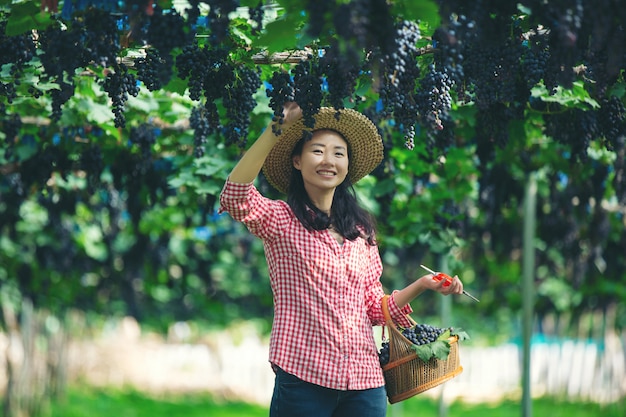 Les vignerons qui sourient et profitent de la récolte. Photo gratuit