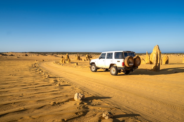 Voiture à quatre roues motrices sur pinnacles drive, chemin de terre dans le désert de pinnacles, parc national de nambung, australie occidentale., australie. Photo Premium