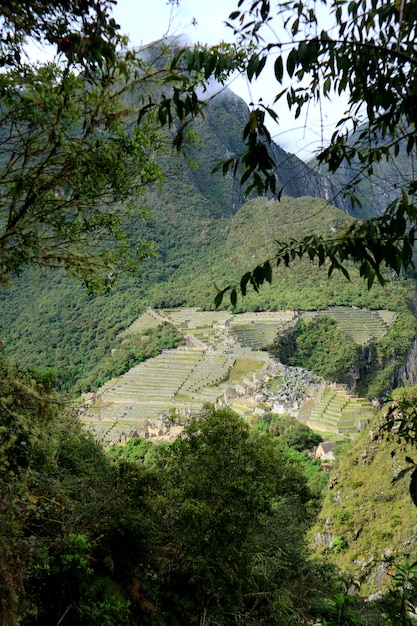 Vue aérienne de la citadelle de machu picchu vue de la montagne huayna picchu, machu picchu, cuzco, urubamba, pérou. Photo Premium