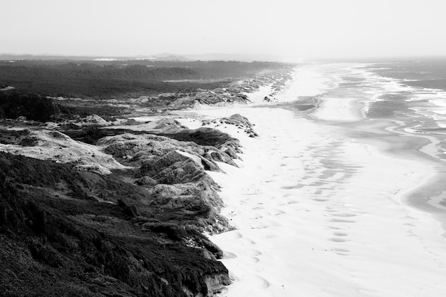 Vue Aerienne Du Bord De Mer Pres De Collines Avec Champ Herbeux En Noir Et Blanc Photo Gratuite