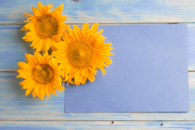 Vue aérienne, de, jaune, tournesols, sur, papier blanc, sur, les, table bois Photo gratuit