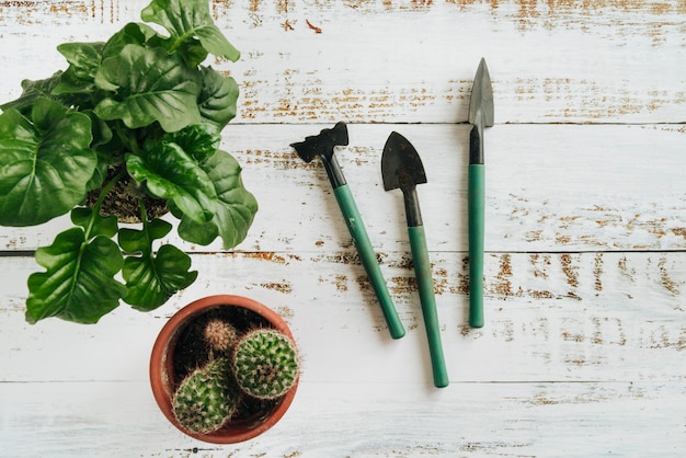 Une vue aérienne de plantes en pot avec des outils de jardinage sur un bureau en bois blanc Photo gratuit