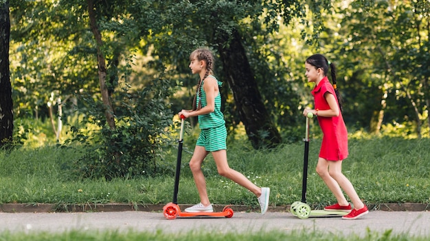 Vue côté, de, deux filles, équitation, pousser, scooter, dans parc Photo gratuit