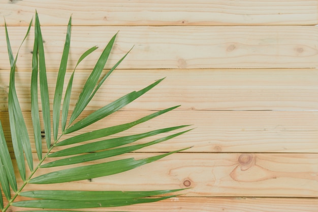 Vue de dessus des feuilles de noix de coco sur fond en bois Photo Premium